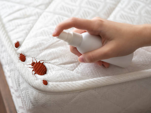 Best Bed Bug Extermination  in Lawrencevle, IL